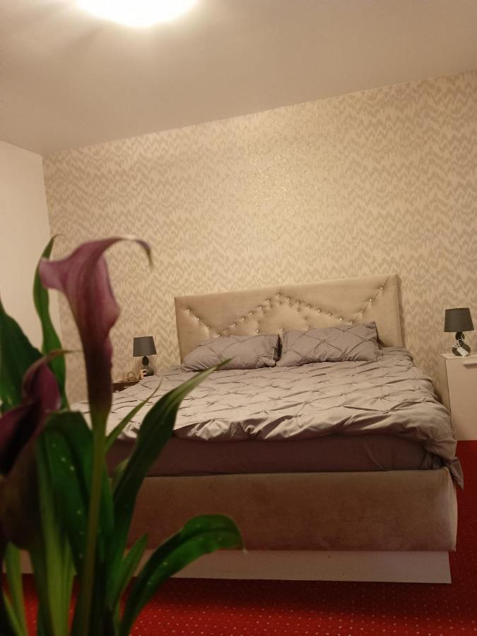 Karina House Leilighet Braşov Eksteriør bilde