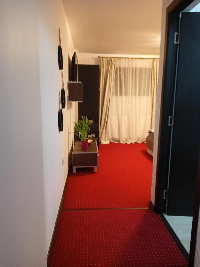 Karina House Leilighet Braşov Eksteriør bilde