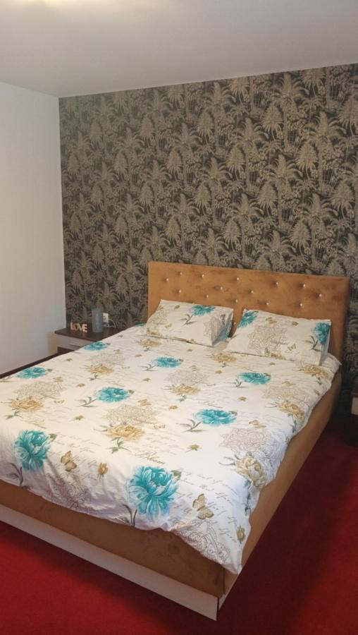 Karina House Leilighet Braşov Eksteriør bilde